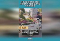 开封网民爆料最新,揭秘当地最新事件真相